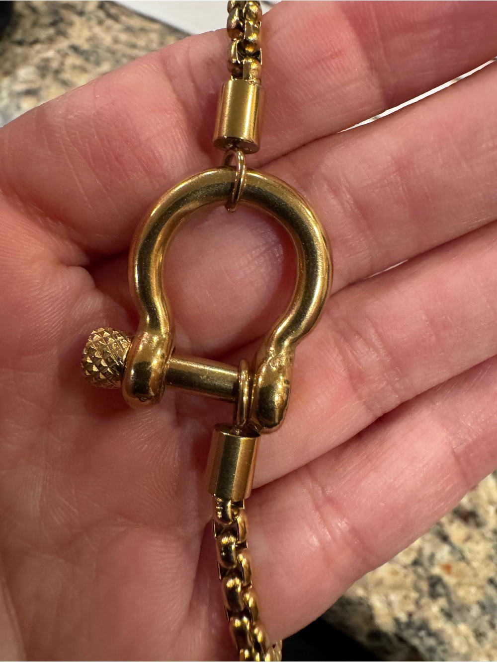 Gold-Tone D-Ring Chain Necklace